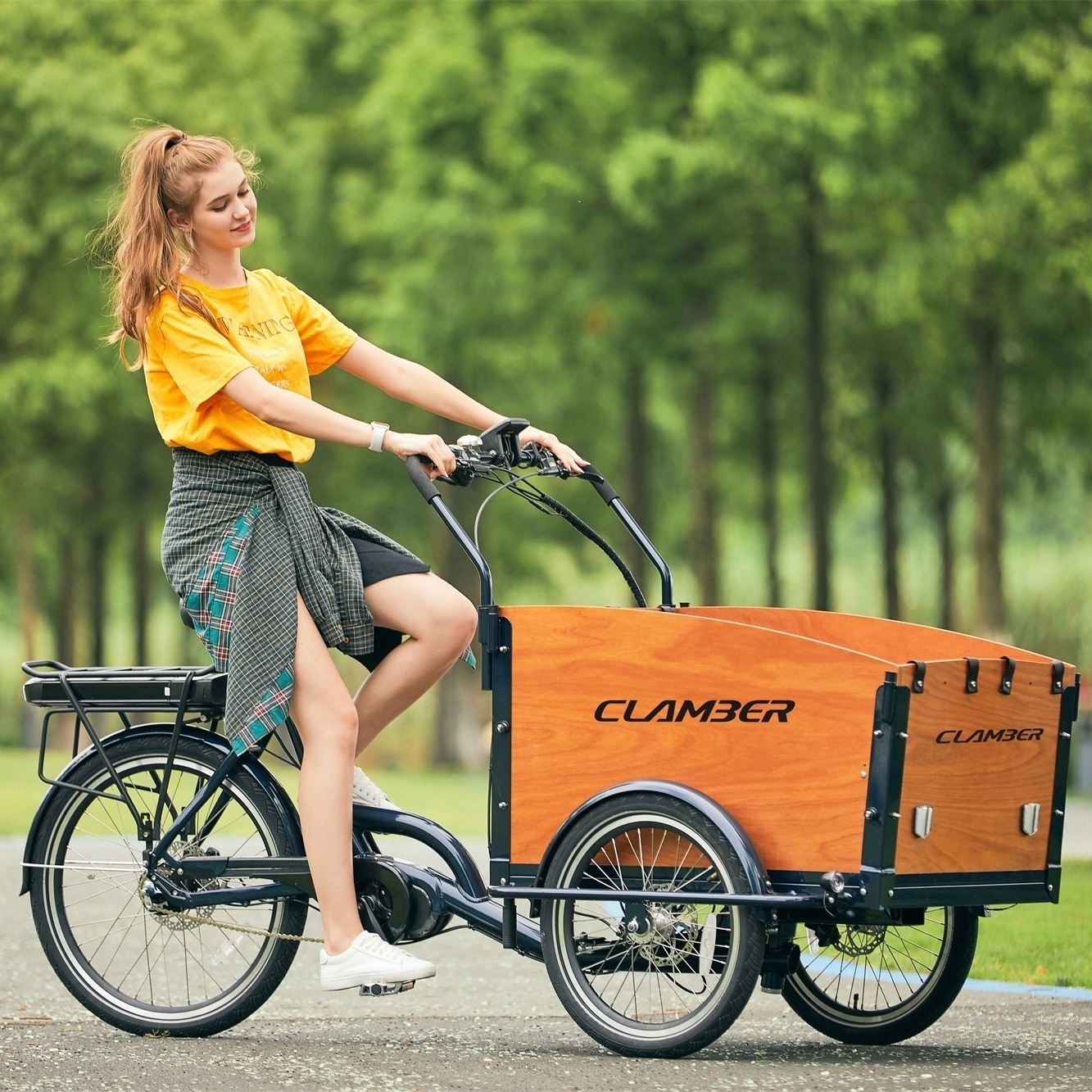 Three wheel electric family cargo trike model UB9046E China manufacturer