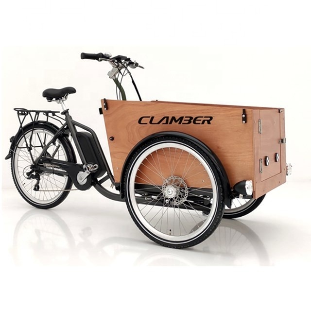 New Style 250W Front Loading Dutch Cargo e bike Bicycle 3 Wheel Family Use Cargo Bike Electric