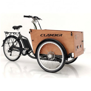 3 wheel electric bike electric cargo bike with wooden box for children family use bicycle with cargo box