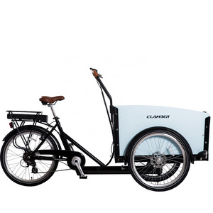 new design electric bike pet dog cargo trailer from China with front carrier three wheel cargo etrike