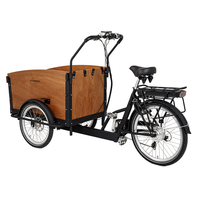 High Quality Polish Stock Three Wheel Steel Electric Cargo Bike Adult Passenger Electric Tricycle with Open Body Type