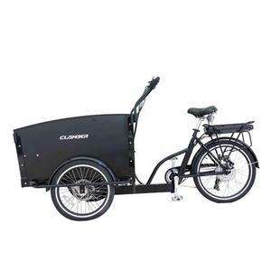 High Quality Polish Stock Three Wheel Steel Electric Cargo Bike Adult Passenger Electric Tricycle with Open Body Type