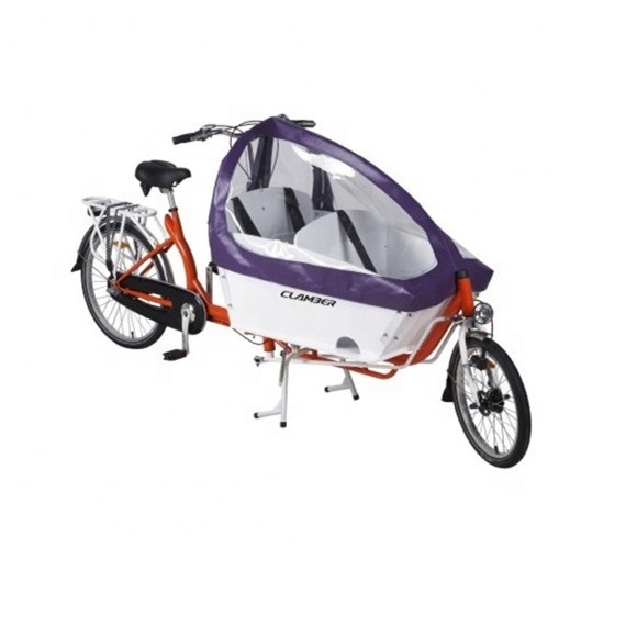 2 Wheel 36V family Electric Cargo Bike for Mother and Baby