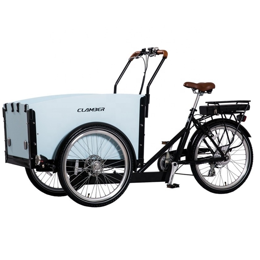 new design electric bike pet dog cargo trailer from China with front carrier three wheel cargo etrike