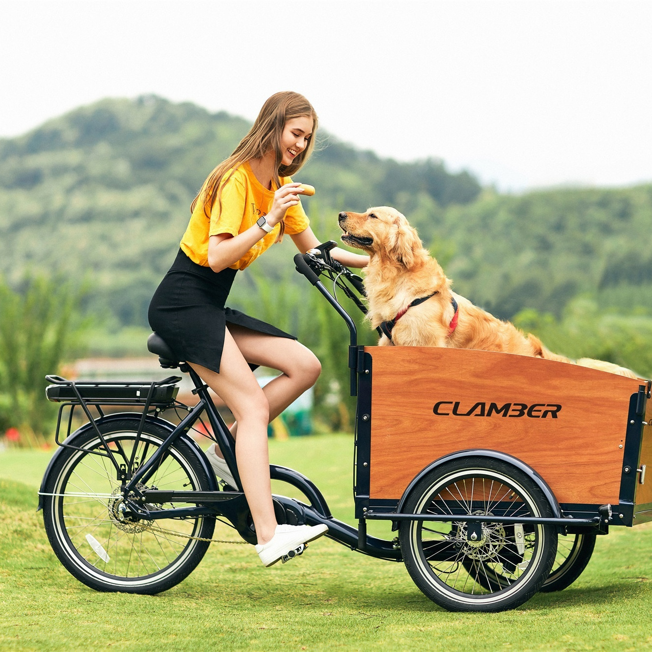 Three wheel electric family cargo trike model UB9046E China manufacturer