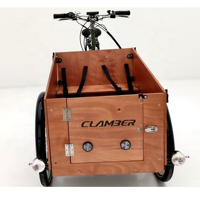 HOT SALE cheap price electric cargo bike three 3 wheel tricycle delivery bike adult trike e-cargo