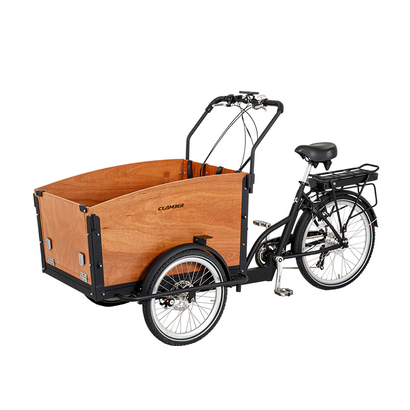 High Quality Polish Stock Three Wheel Steel Electric Cargo Bike Adult Passenger Electric Tricycle with Open Body Type