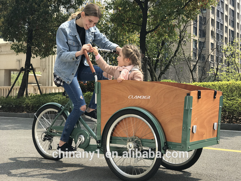 new design electric bike pet dog cargo trailer from China with front carrier three wheel cargo etrike