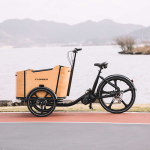 e electric cargo bike bicycle dutch europe stock EU warehouse 3 wheel family tricycle front box trike frame