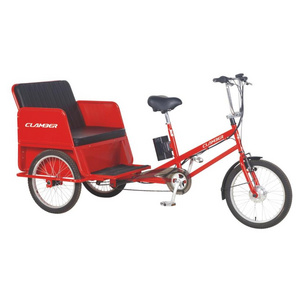 Three wheels 250W electric cargo bike trike pedicab for family use TC8001E