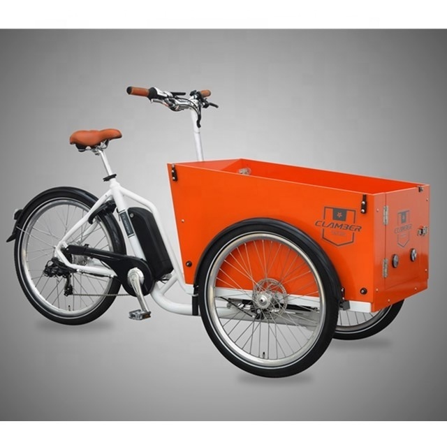 HOT SALE cheap price electric cargo bike three 3 wheel tricycle delivery bike adult trike e-cargo