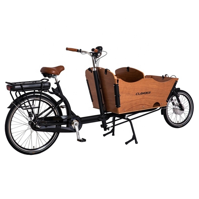 pets cargo bike 2 wheel electric bicycle family cycle for taking kids 3 seats