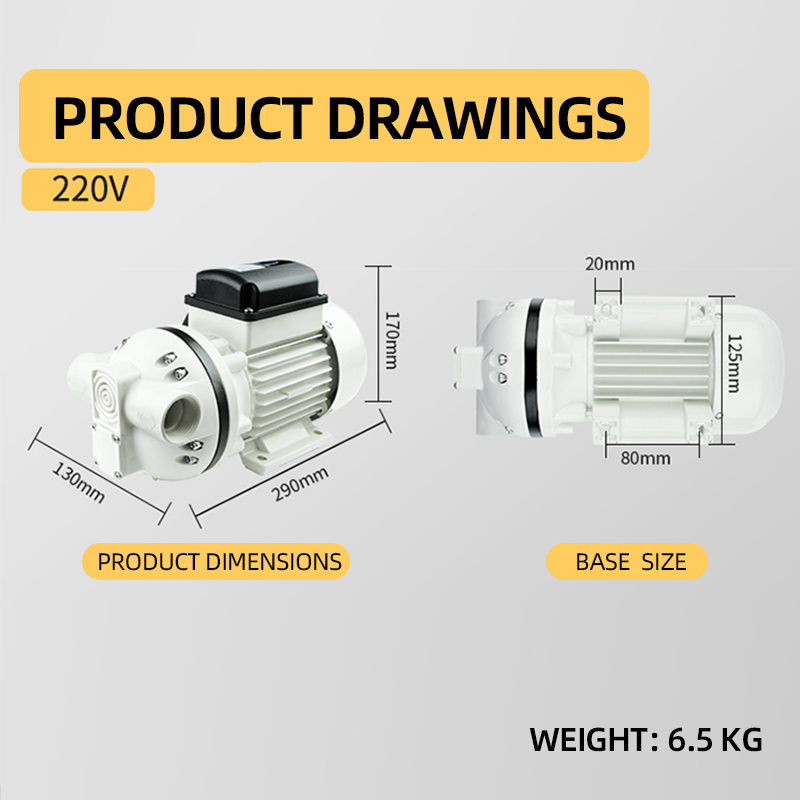 Urea solution chemical distributor 220V urea pump/diaphragm DEF pump, high quality plastic pump