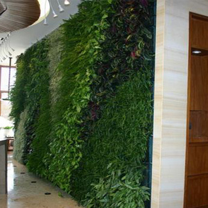 Water Proof Plane Plant Artificial Walls Fake Grass For Indoor Decoration