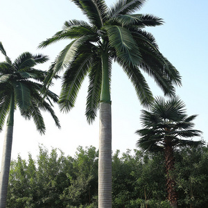 Giant Artificial Plants Trees King Palm Artificial Royal Palm Tree