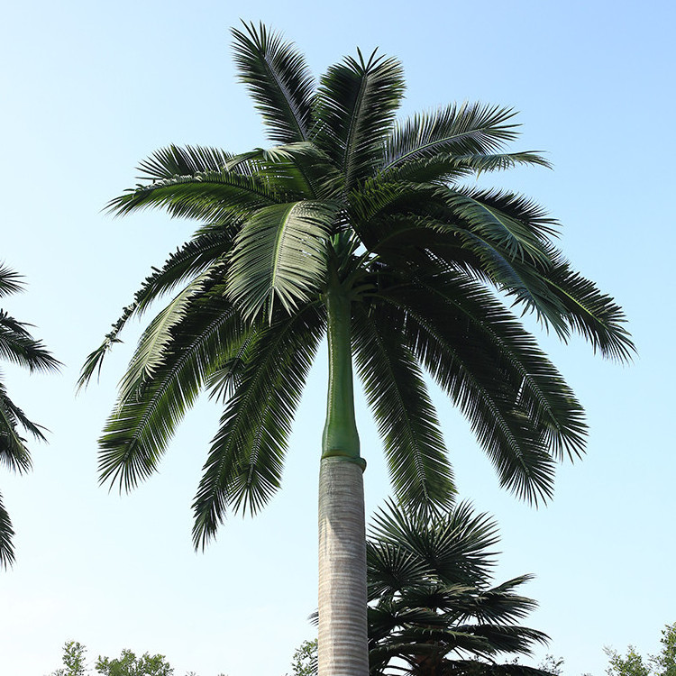 Giant Artificial Plants Trees King Palm Artificial Royal Palm Tree