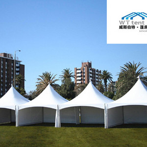 Waterproof PVC Fabric Outdoor Gazebo with Lining and Curtain