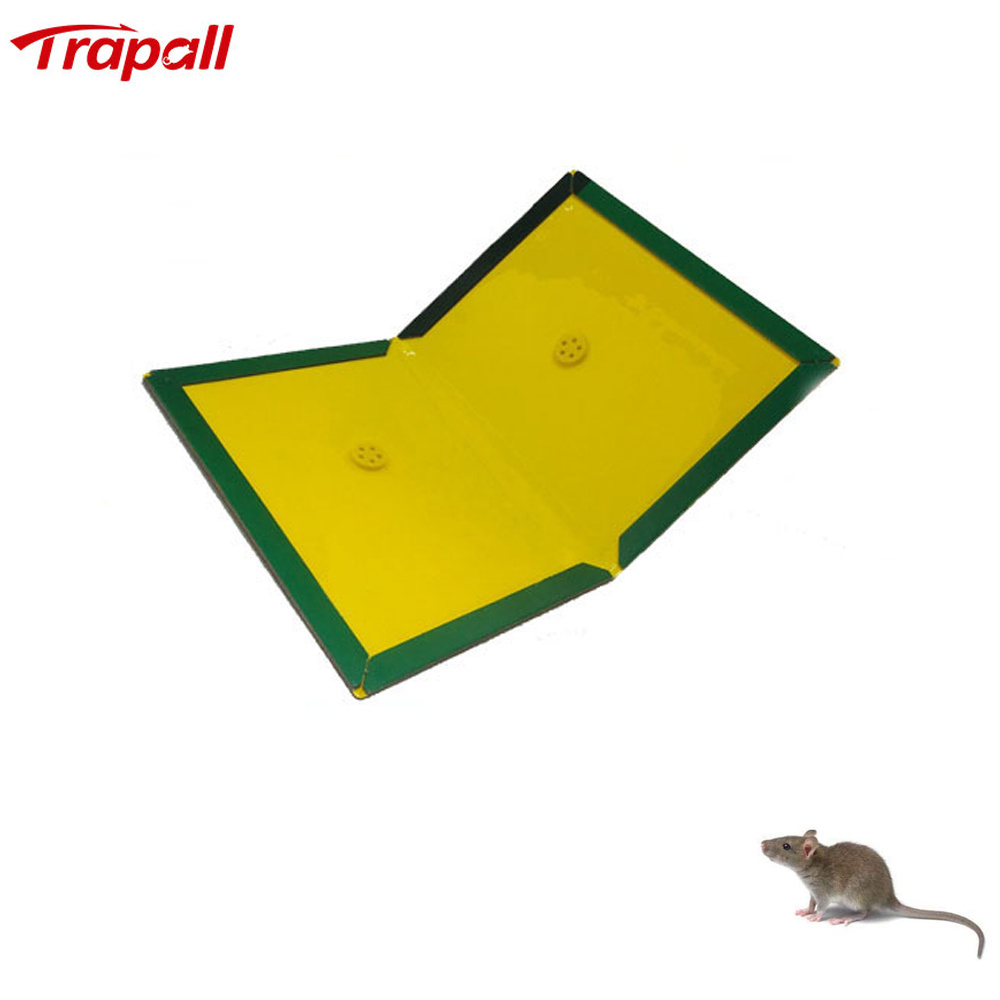 Disposable Mouse Glue Trap Large Size Mice Glue Glue and Paper Mice Sticky Pad