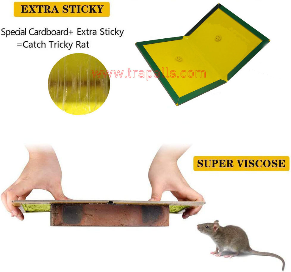 Disposable Mouse Glue Trap Large Size Mice Glue Glue and Paper Mice Sticky Pad