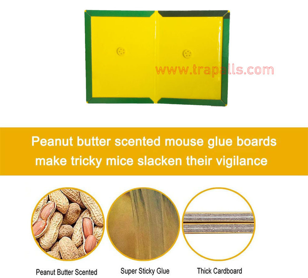 Disposable Mouse Glue Trap Large Size Mice Glue Glue and Paper Mice Sticky Pad