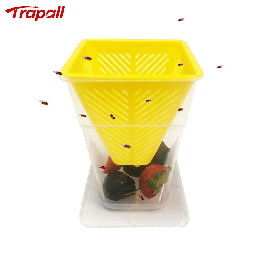 Home Kitchen Reusable Plastic Insect Bug Catcher Live Catch Fruit Fly Trap