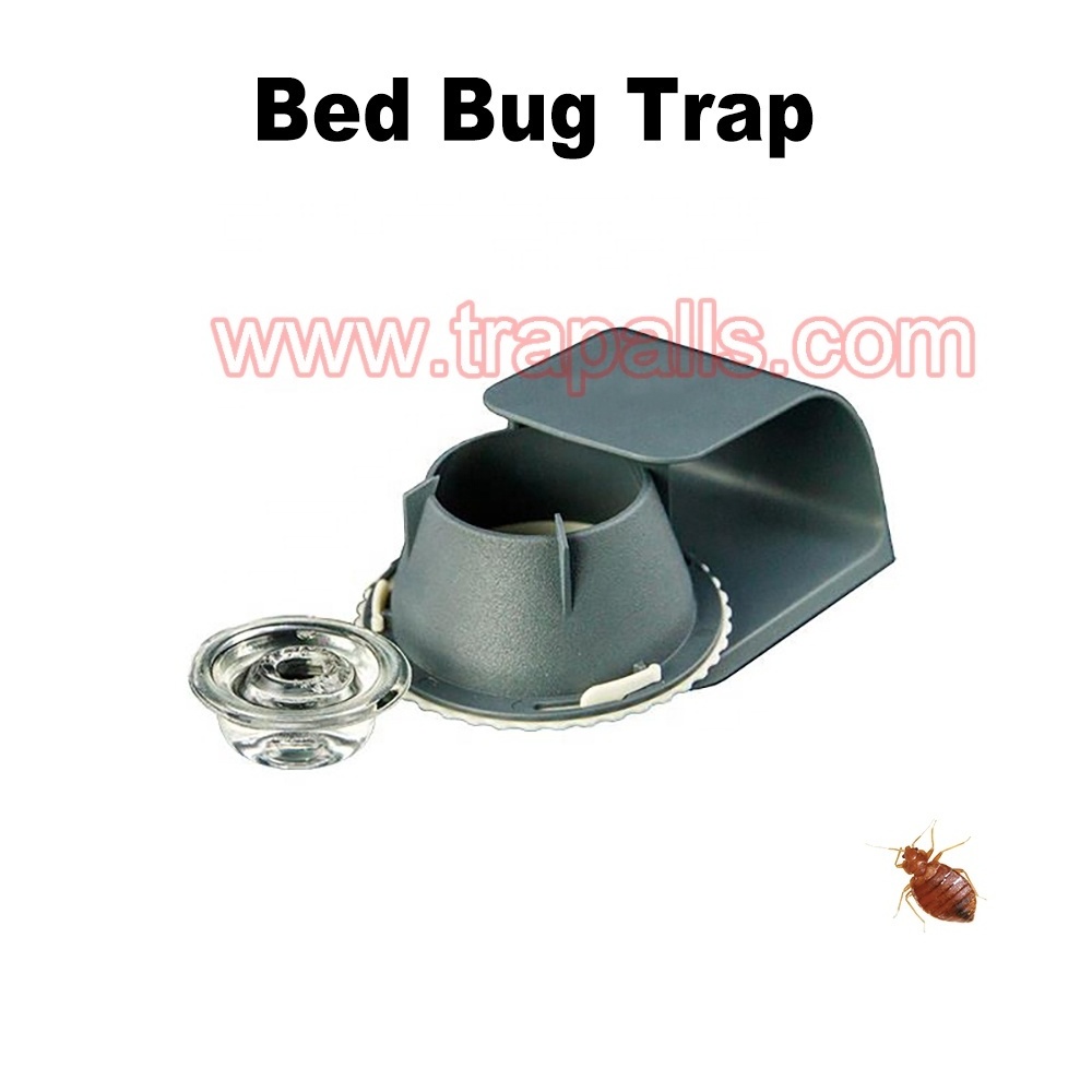 2 PCs Home Safety Plastic Bait Lure Insect Capture Device Bed Bug Trap