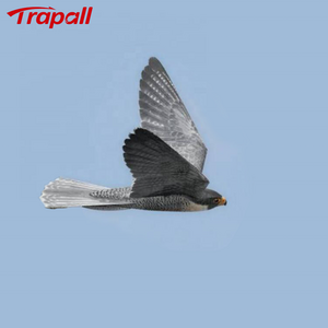 Outdoor Electronic Flying Peregrine Falcon Bird Deterrent Scarecrow with Remote Control