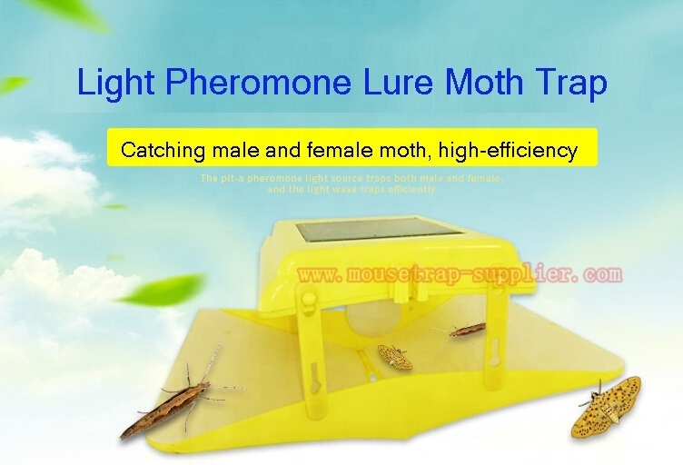 Solar Powered Light Source Induction Insect Moth Pheromone Lure Glue Trap