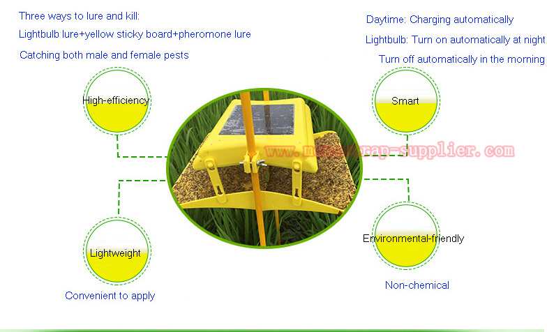 Solar Powered Light Source Induction Insect Moth Pheromone Lure Glue Trap