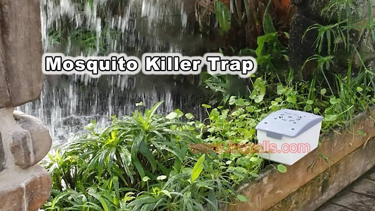 Plastic Lure Gnat Electronic Mosquito Killing Trap with Attractant