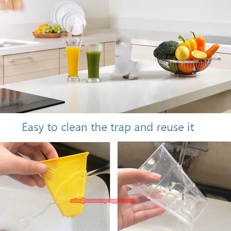 Home Kitchen Reusable Plastic Insect Bug Catcher Live Catch Fruit Fly Trap