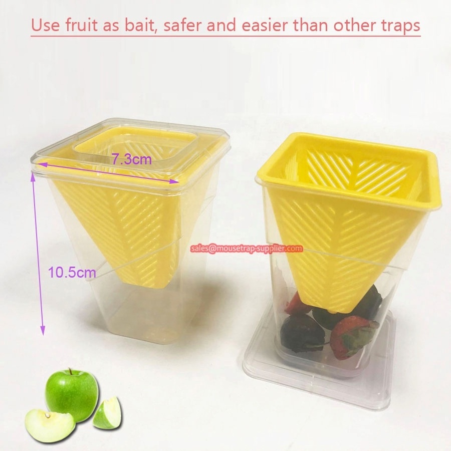 Home Kitchen Reusable Plastic Insect Bug Catcher Live Catch Fruit Fly Trap