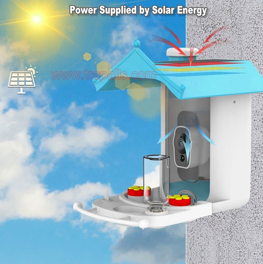 Intelligent Outdoor Solar Energy Bird Watching House with Camera Shaped Bird Feeder