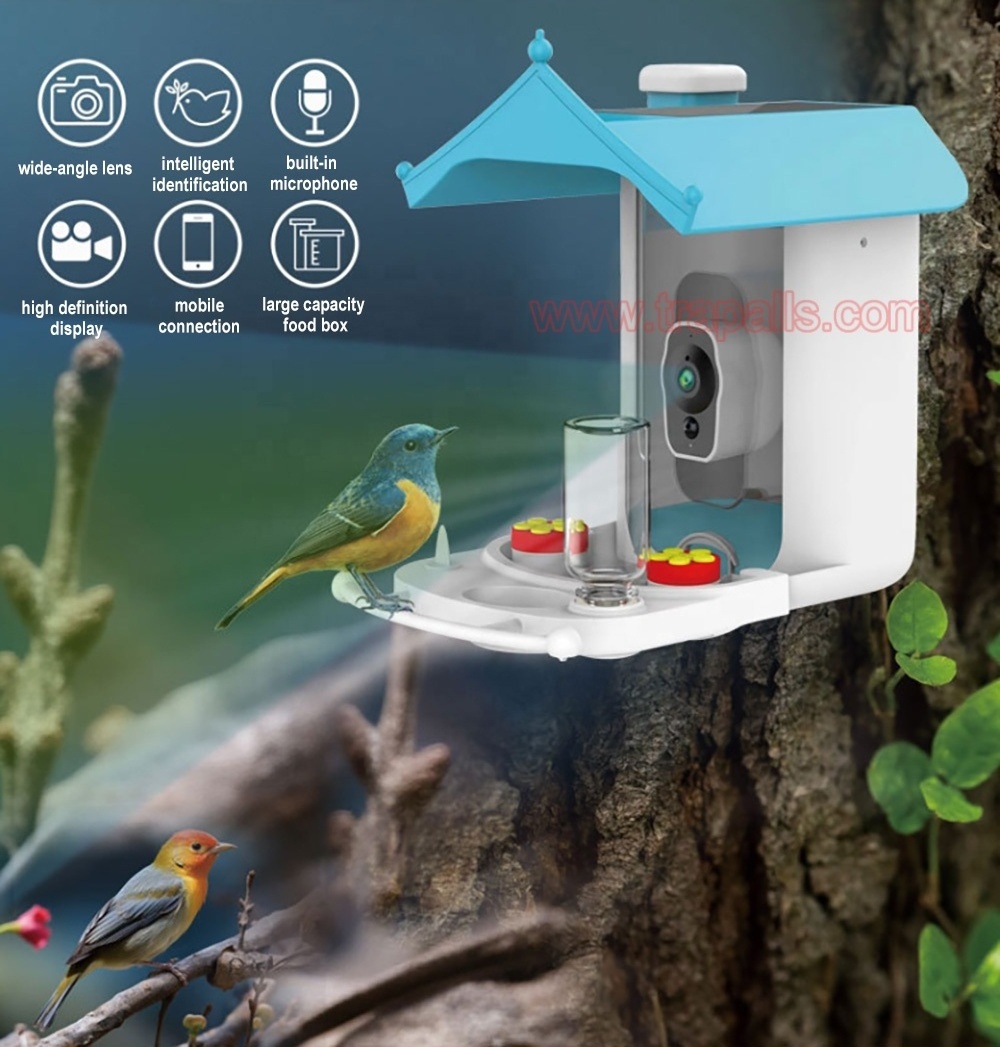 Intelligent Outdoor Solar Energy Bird Watching House with Camera Shaped Bird Feeder