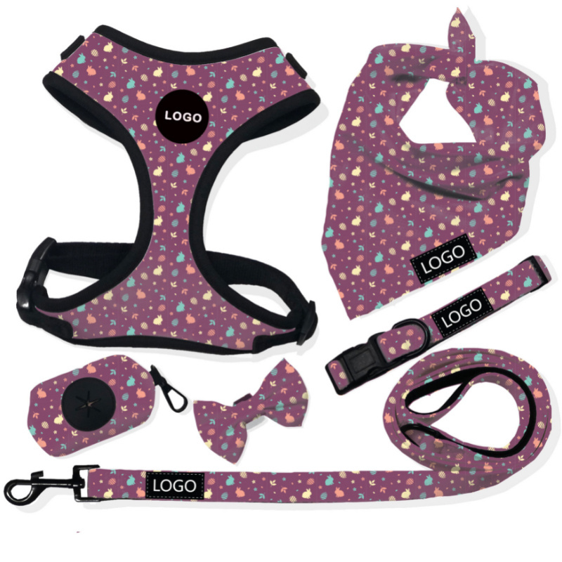 Multifunctional carry built-in retractable leash anertuo dog harness with high quality