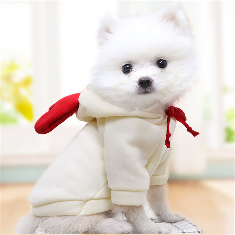 Manufacturer Wholesale Cute Fruit Dog Clothes Small Dog Hoodie Warm Fleece Pet Clothes