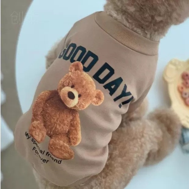 Pet Clothes Dog Clothing New Puppy Clothes Hoodies Sweater Low Price Winter Clothes Print Fashion Autumn and Winter Blue Stocked