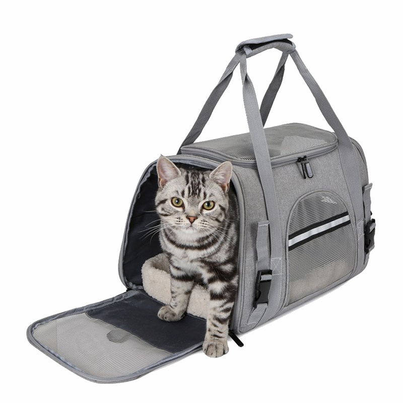 2024 New Design Custom Logo Airline Approved Portable Outdoor Foldable Backpack Cat Pet Carriers Dog Carry Bags