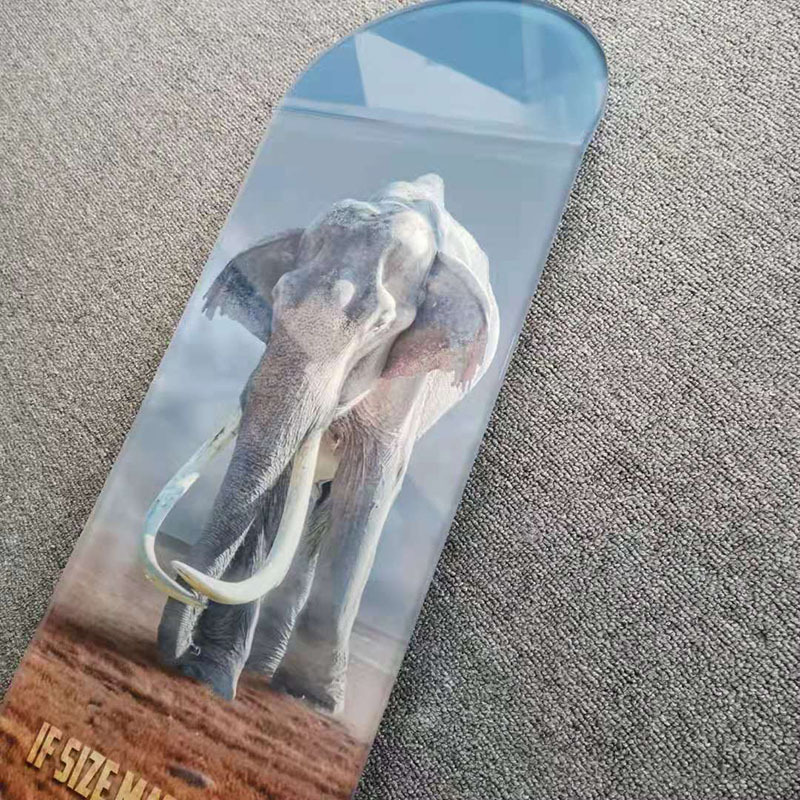 Custom Clear Transparent Acrylic Perspex Skateboard