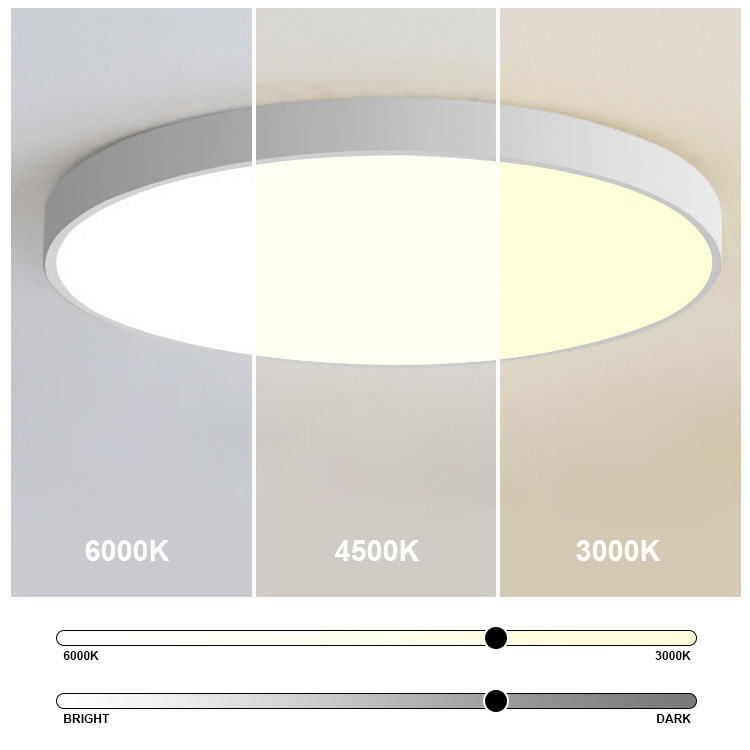 Install Flush Mount White Black Round Panel Lamp Kitchen Bedroom Hallway Dimmable 18W 24W 36W LED Ultra Thin Ceiling Light