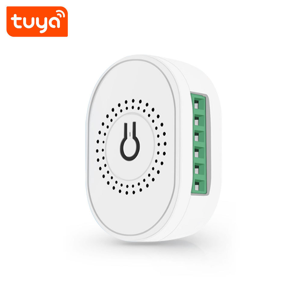 Best Selling Tuya Smart Wifi Mini 2CH Switch PST-TMW02