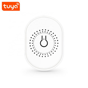 Latest Arrival Tuya Smart Wi-Fi Mini 2CH Switch Work With Alexa/Google Assistance PST-TMW02