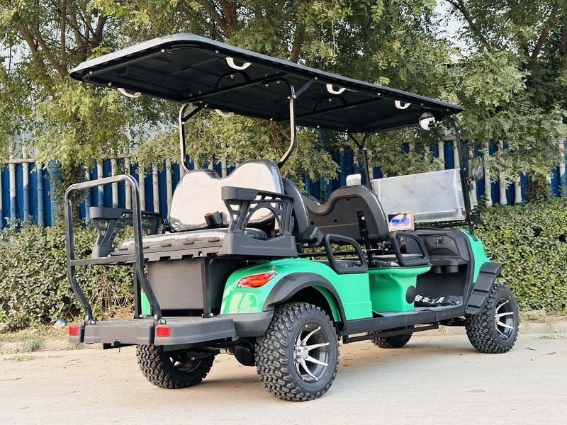 2024 New Designed 2 Seater 4 seater Buggy Golf Cart Electric Golf Carts Lithium/ Lead Acid Battery Power Equipment