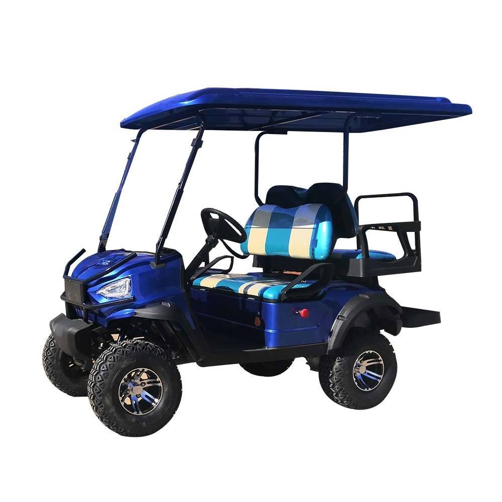 2024 New Designed 2 Seater 4 seater Buggy Golf Cart Electric Golf Carts Lithium/ Lead Acid Battery Power Equipment