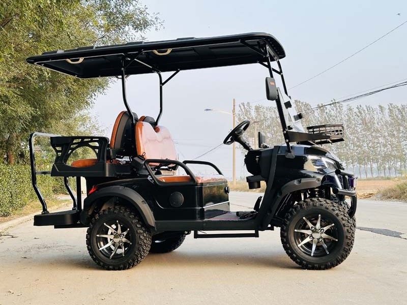 High Performance Golf Carts Electric 6 Seat 110v-240v Electric Golf Cart