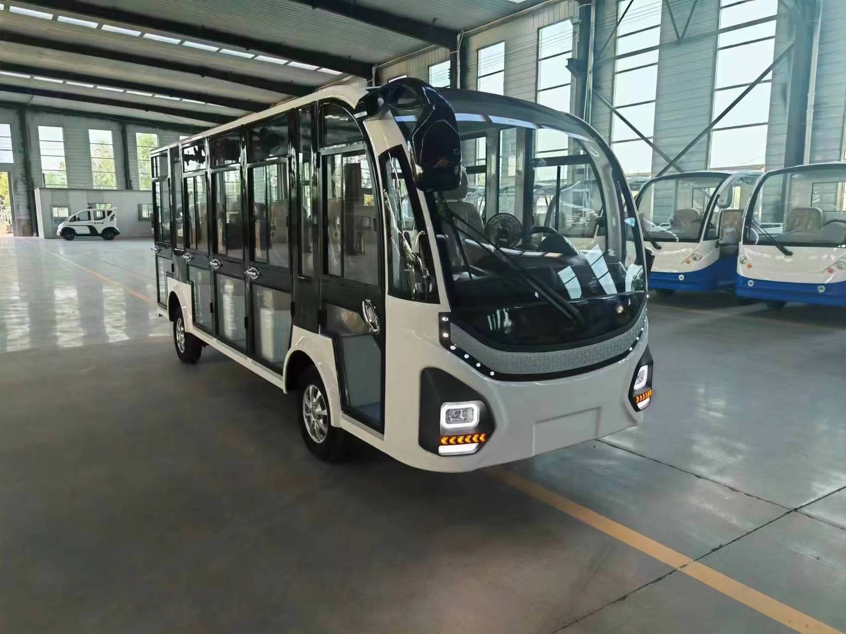 electric mini sightseeing bus