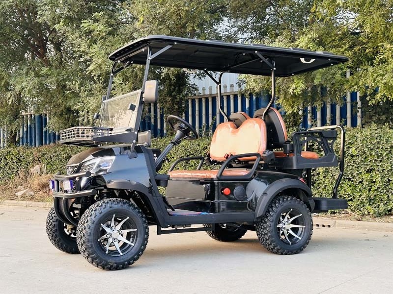 High Performance Golf Carts Electric 6 Seat 110v-240v Electric Golf Cart