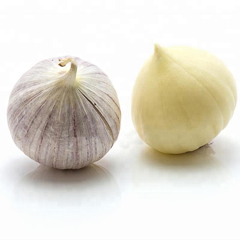 Chinese Organic Fresh Solo Garlic 3cm