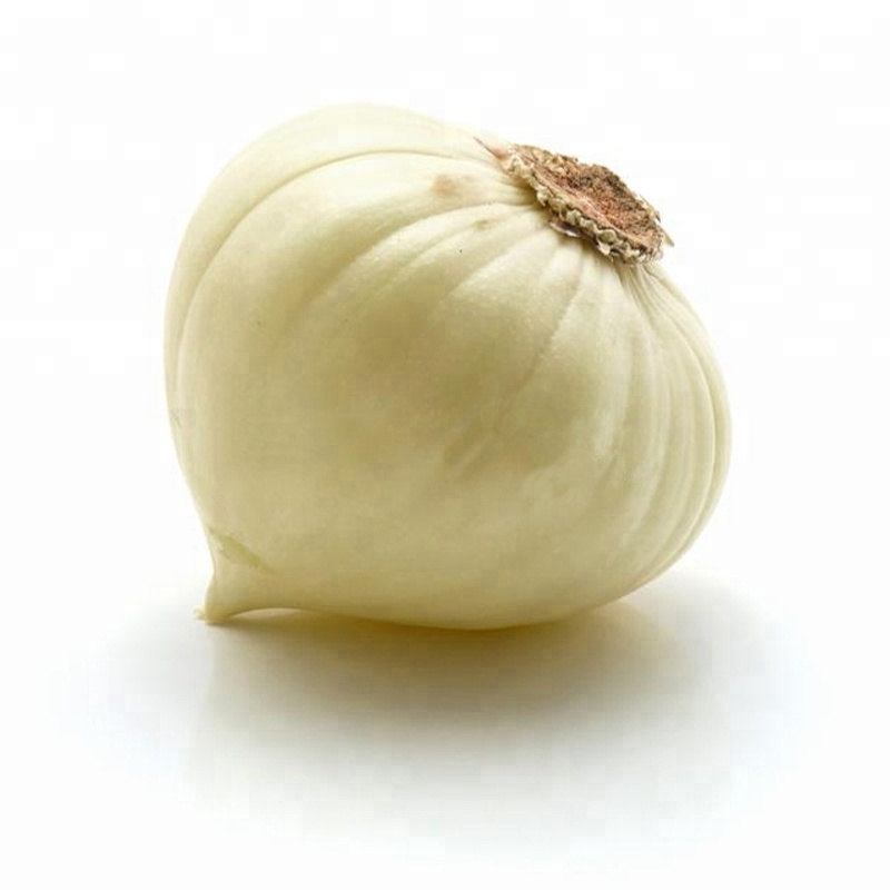 Chinese Organic Fresh Solo Garlic 3cm