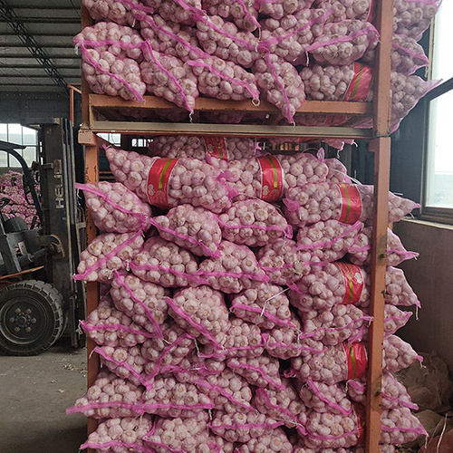 Wholesale price fresh garlic